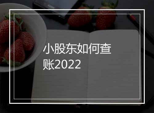 小股东如何查账2022
