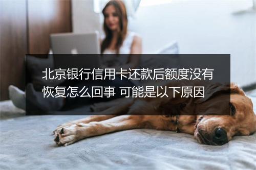 北京银行信用卡还款后额度没有恢复怎么回事 可能是以下原因