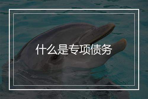 什么是专项债务