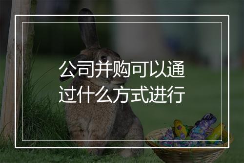 公司并购可以通过什么方式进行