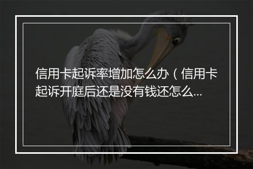 信用卡起诉率增加怎么办（信用卡起诉开庭后还是没有钱还怎么办）