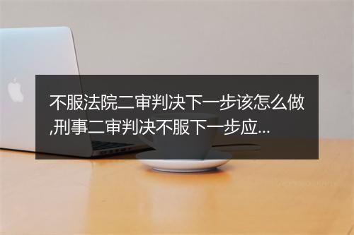 不服法院二审判决下一步该怎么做,刑事二审判决不服下一步应该怎么办