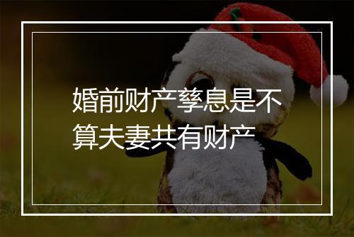 婚前财产孳息是不算夫妻共有财产