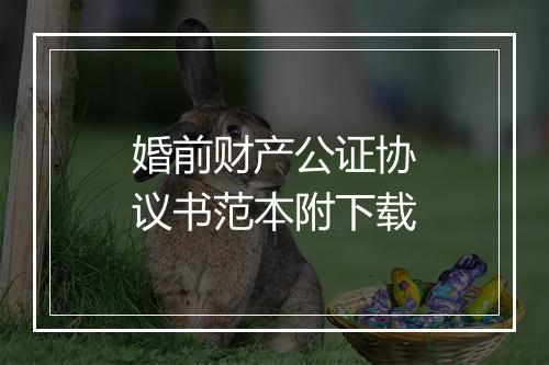 婚前财产公证协议书范本附下载