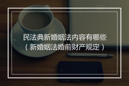 民法典新婚姻法内容有哪些（新婚姻法婚前财产规定）