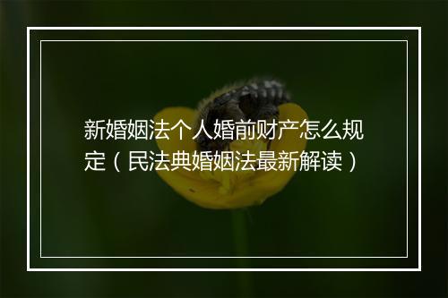 新婚姻法个人婚前财产怎么规定（民法典婚姻法最新解读）