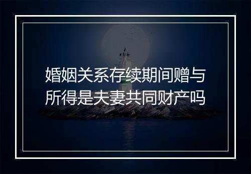 婚姻关系存续期间赠与所得是夫妻共同财产吗
