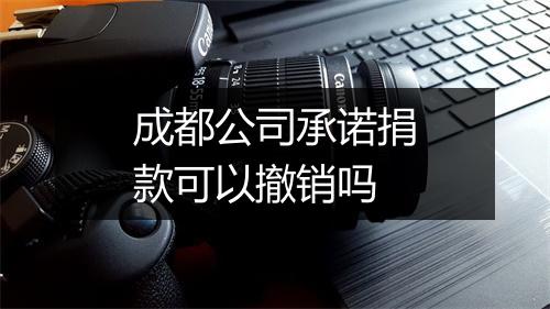 成都公司承诺捐款可以撤销吗