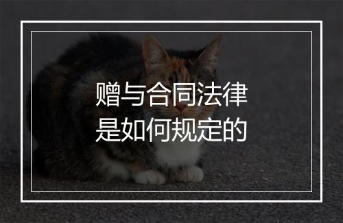 赠与合同法律是如何规定的
