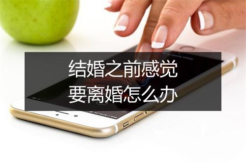 结婚之前感觉要离婚怎么办