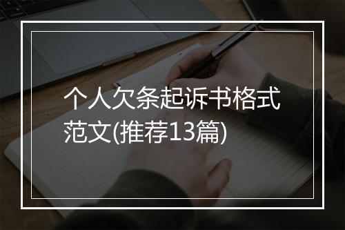 个人欠条起诉书格式范文(推荐13篇)