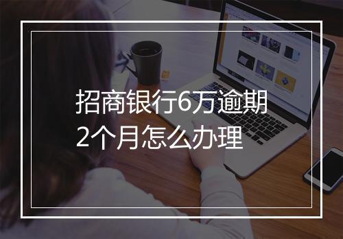 招商银行6万逾期2个月怎么办理