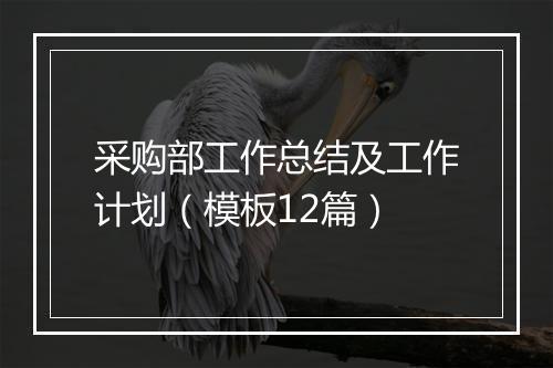 采购部工作总结及工作计划（模板12篇）