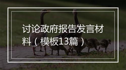 讨论政府报告发言材料（模板13篇）
