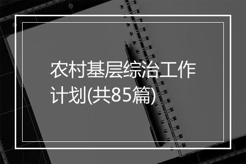 农村基层综治工作计划(共85篇)