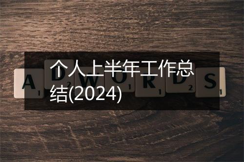 个人上半年工作总结(2024)