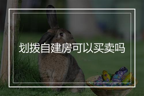 划拨自建房可以买卖吗