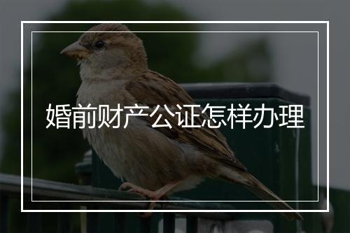 婚前财产公证怎样办理
