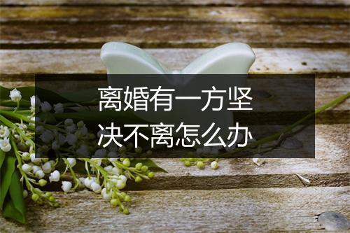离婚有一方坚决不离怎么办