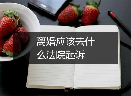 离婚应该去什么法院起诉