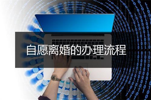 自愿离婚的办理流程