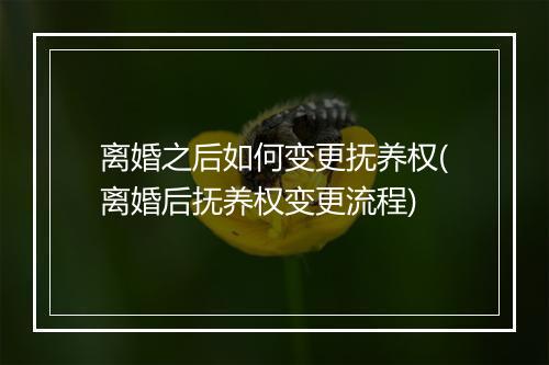 离婚之后如何变更抚养权(离婚后抚养权变更流程)