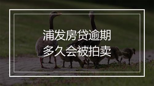 浦发房贷逾期多久会被拍卖