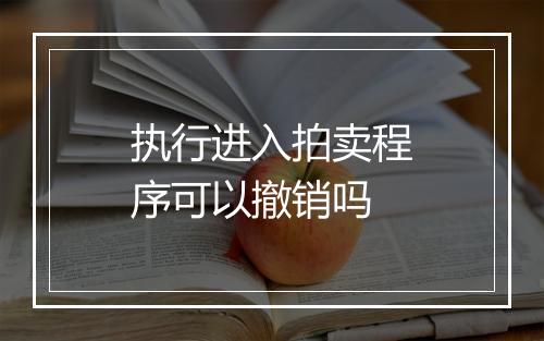 执行进入拍卖程序可以撤销吗