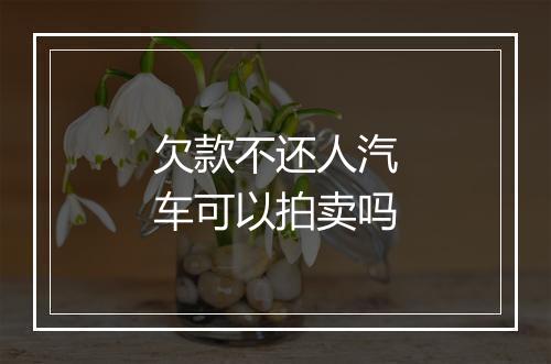 欠款不还人汽车可以拍卖吗