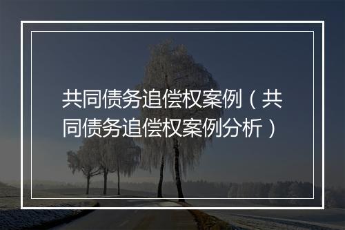 共同债务追偿权案例（共同债务追偿权案例分析）