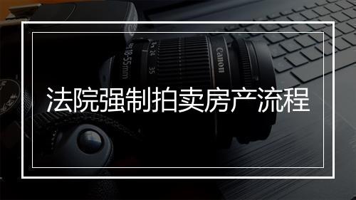 法院强制拍卖房产流程