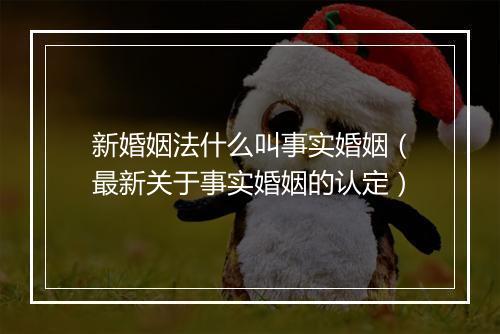 新婚姻法什么叫事实婚姻（最新关于事实婚姻的认定）