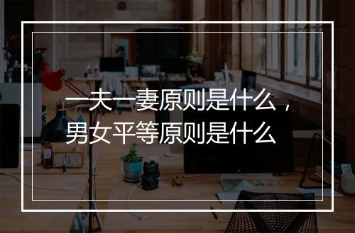 一夫一妻原则是什么，男女平等原则是什么
