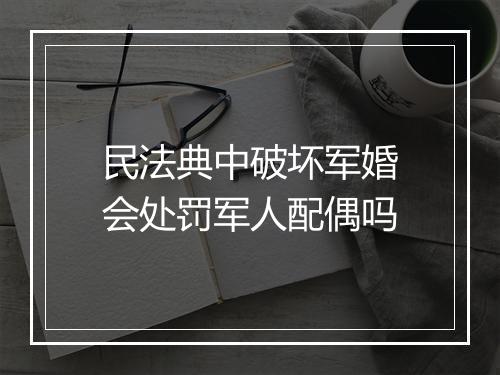 民法典中破坏军婚会处罚军人配偶吗