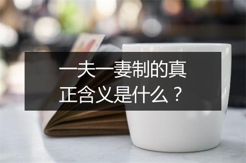 一夫一妻制的真正含义是什么？