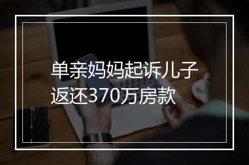 单亲妈妈起诉儿子返还370万房款