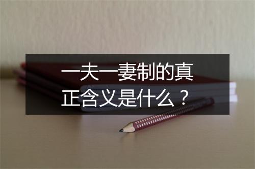 一夫一妻制的真正含义是什么？