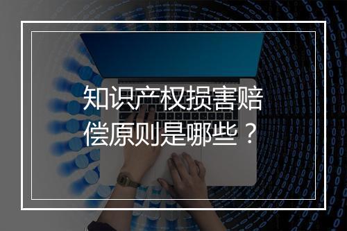 知识产权损害赔偿原则是哪些？