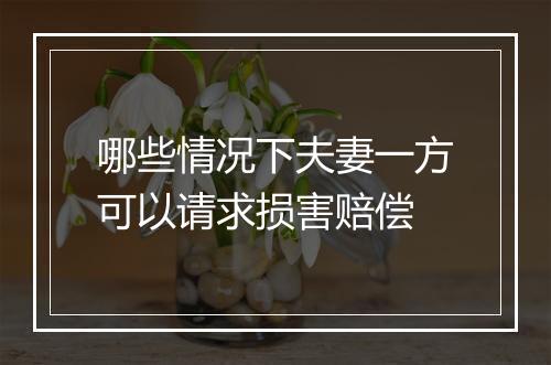哪些情况下夫妻一方可以请求损害赔偿