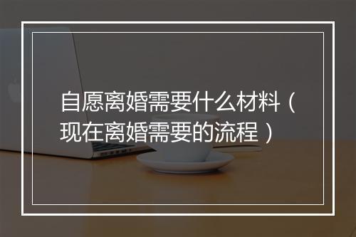 自愿离婚需要什么材料（现在离婚需要的流程）