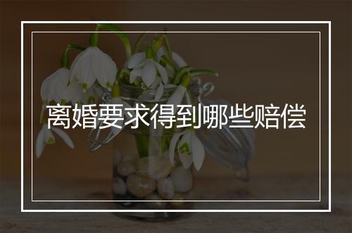 离婚要求得到哪些赔偿