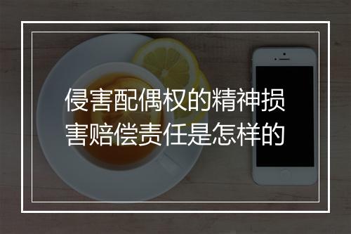 侵害配偶权的精神损害赔偿责任是怎样的