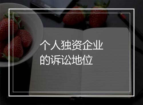 个人独资企业的诉讼地位