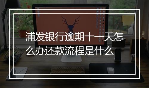 浦发银行逾期十一天怎么办还款流程是什么