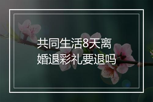 共同生活8天离婚退彩礼要退吗