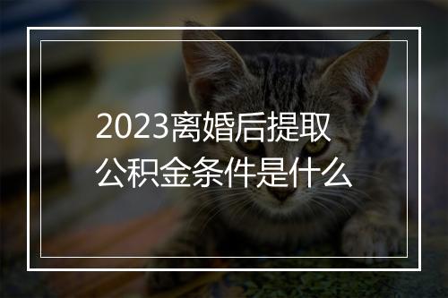 2023离婚后提取公积金条件是什么