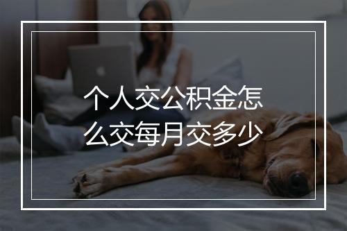 个人交公积金怎么交每月交多少