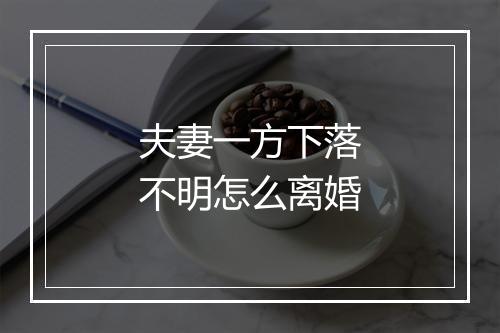 夫妻一方下落不明怎么离婚