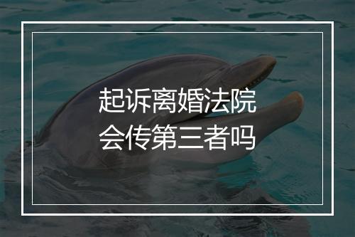 起诉离婚法院会传第三者吗