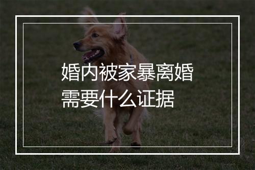 婚内被家暴离婚需要什么证据